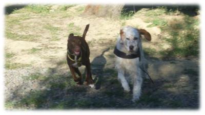 Dea e Jenny ad inizio socializzazione