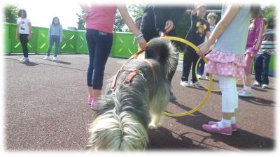 Bambility: cani e bmabini imparano insieme