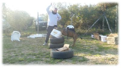 Flavio e Cluny impegnati nel problem solving e ricerca olfattiva