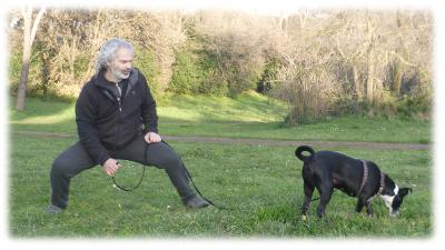 uomo in accosciata, cane in ricerca olfattiva