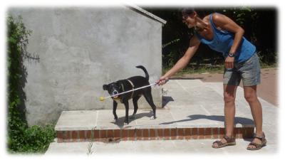 Macchia e Marina impegnate con il targetstick