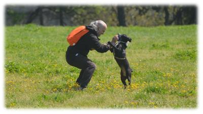 Fitness-Wellness con il cane