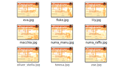 diplomi asd Parola di Cane