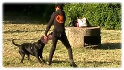 il potente tira e molla di gaetano