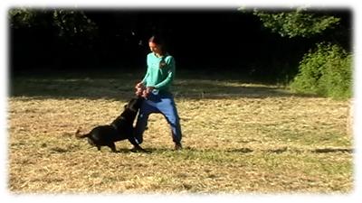 gaetano e il tira e molla con la treccia