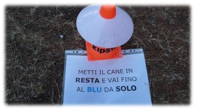 condotta la guinzaglio