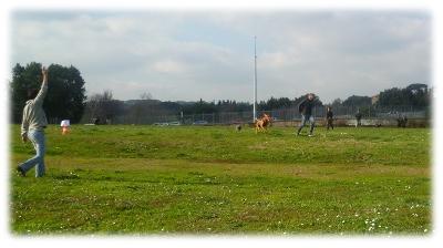 Gestione in libertà e richiamo
