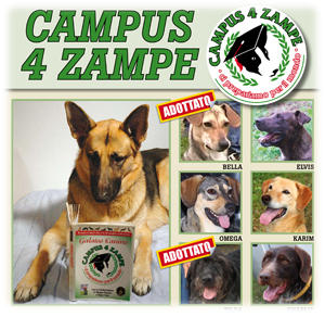 Campus a 4 Zampe