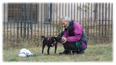 mettiamo la museruola