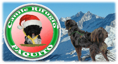 Canile Rifugio Paquito