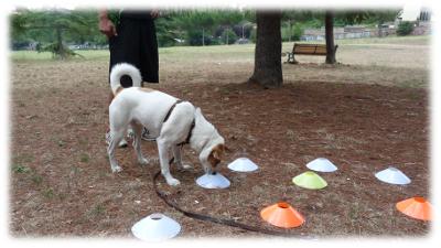 gigi e teresa giocano al parco