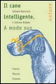 Il cane intelligente. A modo suo